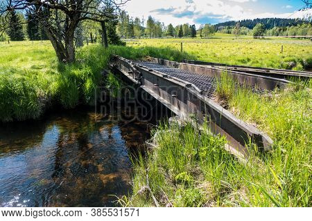 Stream In The Wood In Central Europe