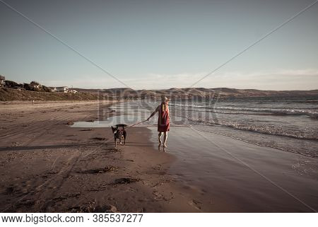 Happy Attractive Mature Woman With Her Pet Walking On Friendly Dog Beach At Sunset