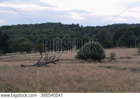 Czech Agricultural Landscape In Countryside