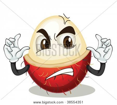illustrazione di rambutan fruit su sfondo bianco