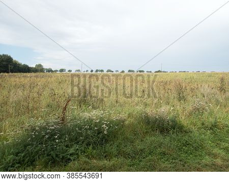 Beautiful Green Central Europian Landscape