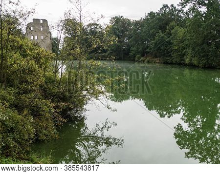 Stream In The Wood In Central Europe