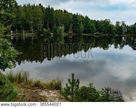 Stream In The Wood In Central Europe