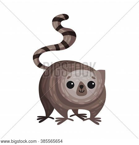 Lesser Galago Primate As African Animal Vector Illustration