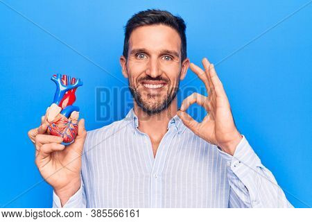 Young handsome man holding heart organ with veins and arteries over blule background doing ok sign with fingers, smiling friendly gesturing excellent symbol