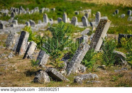 Old ruined tombstones at the cluttered ancient obsolete Jewish cemetery in Vadul liu Rascov in Moldova