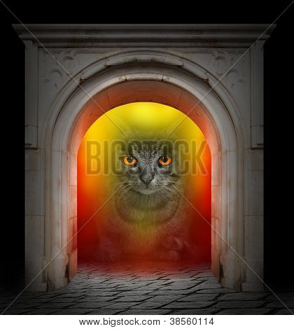 Cadı içinde bir şömine. Halloween Tema.