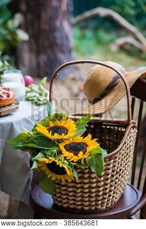 Sunflowers, Helianthus Annuus, In The Basket On The Chair