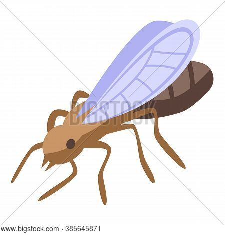 Ant Fly Icon. Isometric Of Ant Fly Vector Icon For Web Design Isolated On White Background