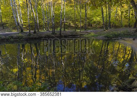 Reflection Of Coastal Trees In The Water Surface. Pond In The Landscape Reserve Teply Stan, Moscow, 