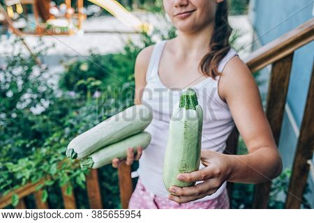 Farmer Hold Fresh Organic Zucchinis In His Hands. Vegetable Harvest Concept.