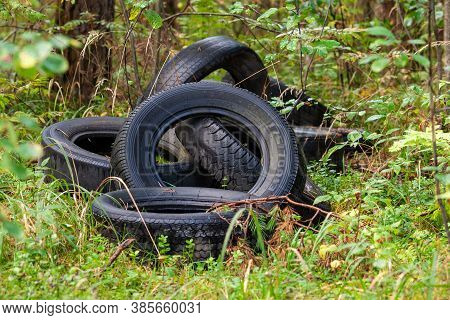 Discarded Car Tires In The Forest - Illegal Landfill, Problem Of Nature Pollution With Consumer Wast