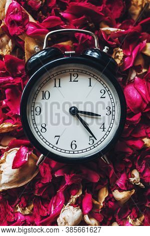 Alarm Clock With Dried Petals.wilting Concept. Close-up