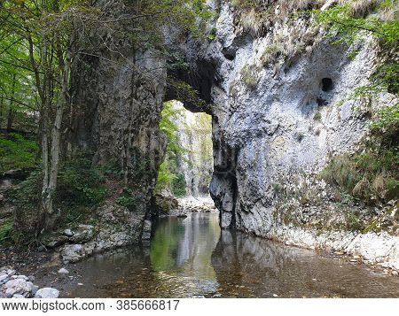 Cheile Rametului Gorges Wild Natural Park River Area. Waterfall On Small River In Dense Forest In Al