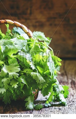 Fresh Cilantro In A Wicker Basket, Vintage Wooden Background, Selective Focus