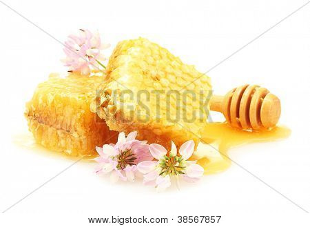โกลเด้น honeycombs, wildflowers และ drizzler ไม้น้ำผึ้งแยกต่างหากบนพื้นสีขาว