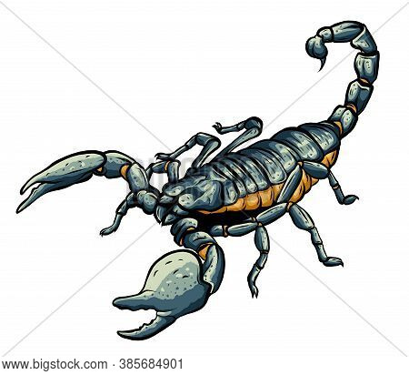 Illustration Of Scorpion Arachnid Insect. Vector Graphics