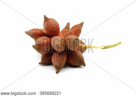 Fresh Salacca Zalacca Or Salak Fruits  Isolated On White Background. Salak Fruit