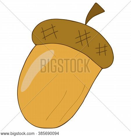 Simple Brown Acorn With A Glittering Hat