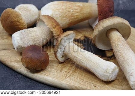 Boletus Mushrooms On A Wooden Tray. Boletus Prepared For Cooking. Boletus Edulis. Closeup