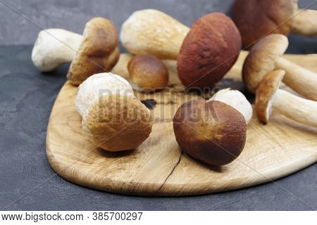 Boletus Mushrooms Prepared For Cooking. Boletus On A Wooden Tray. Boletus Edulis. Closeup