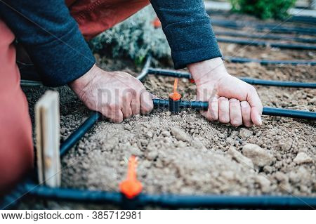 Irrigation System On The Site. Hands Attach A Hose To A Tap . Horizontal Shot, Selective Focus, Clos