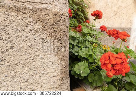 Mustair, Switzerland - September 8, 2020: Red Flowers Against The Wall Of An Old House In Mustair