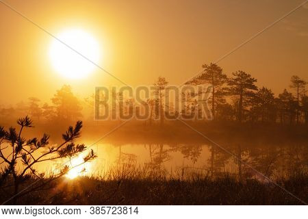 Misty Sunrise Over A Forest Lake In Taiga