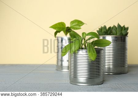 Beautiful Houseplants In Tin Cans On Light Grey Wooden Table. Space For Text