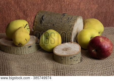 Still-life Painting With Apples And Herb. Autumn Harvest Illustration