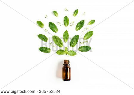 Essential Oil And Greenmint Leaves On White Background. Medicinal Herbs. Flat Lay. Top View.