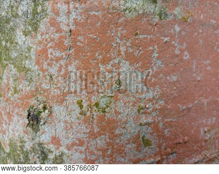 Beautiful Firewood Texture Background In Forest For Saw Mill