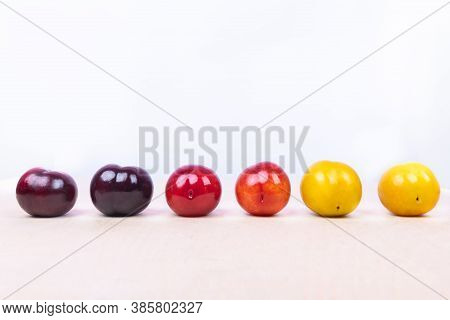 Red, Yellow Plum Fruit Close Up On The White Background Isolated