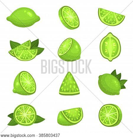 Lime Whole, Half, Segments, Slice, Leaves Set. Citrus Fruits Green Round Juicy.
