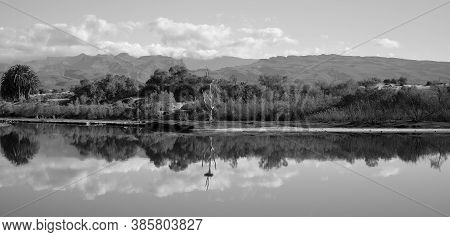 Black And White Landscape From Maspalomas, South Of Gran Canaria, Canary Islands, Spain