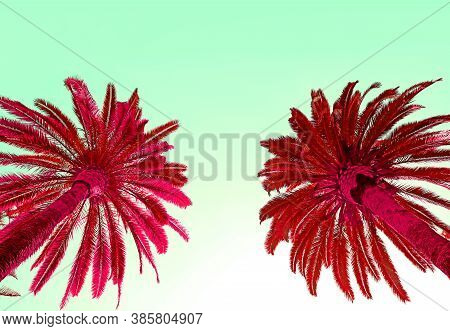Surreal Pop Art Style Two Vibrant Red Colored Palm Trees Isolated On Mint Green Sky
