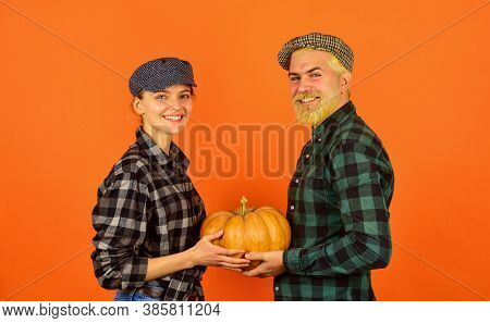 Farmers Market. Autumn Mood. Couple In Love Checkered Rustic Outfit Hold Pumpkin. Autumn Routines. F
