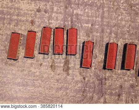 Trailers Loaded With Fresh Picked Tomatoes Parked In An Agricultural Field.