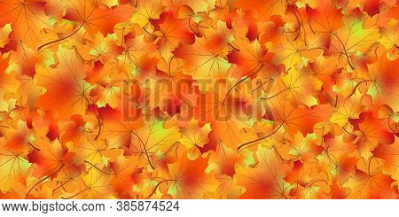 Seamless Pattern Bright Colorful Maple Autumn Foliage Isolated. Graphic Design Autumn Symbol. Red Or