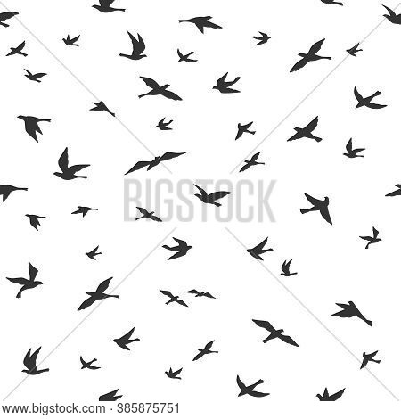 Flying Bird Seamless Pattern. Drawing Birds Flock Flying, Abstract Aerial Black Silhouettes In Sky, 