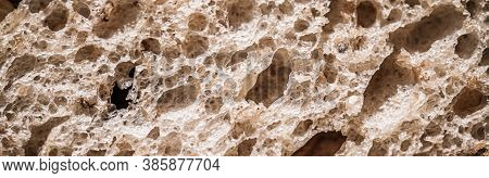 Fresh Whole Grain Seeded Bread, Organic Wheat Flour, Closeup Slice Texture As Background For Food Bl