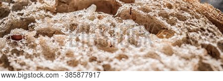 Fresh Whole Grain Seeded Bread, Organic Wheat Flour, Closeup Slice Texture As Background For Food Bl