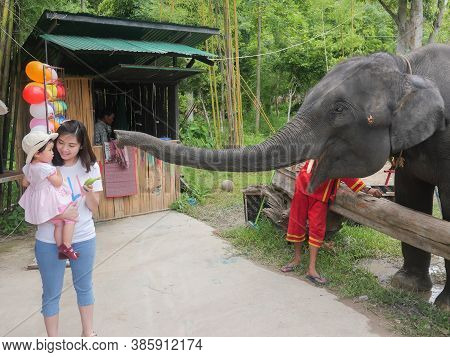 28 June 2020, Elephant Farm Kariang Roum Mit In The North Of Thailand, Chiang Rai. Thailand
