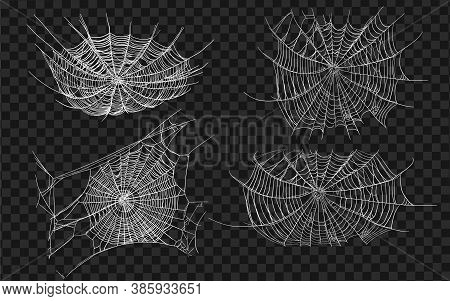 Halloween Monochrome Spider Web And Spiders Isolated On Black Background. Hector Venom Cobweb Set. V