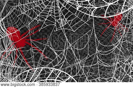 Halloween Monochrome Spider Web And Spiders Isolated On Black Background. Hector Venom Cobweb Set. V