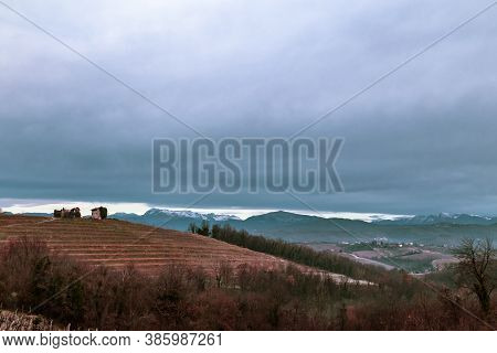 Cold Misty Morning In The Vineyards Of Italy