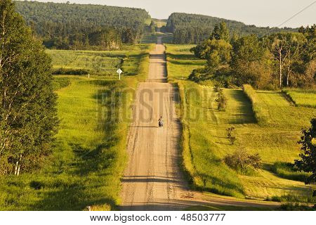 Una strada di campagna collinare