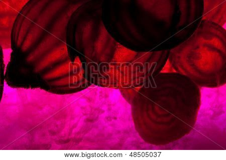 close up of sliced raw beet in water
