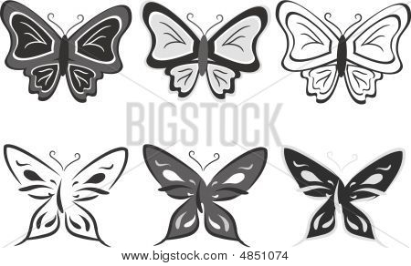 Collection Of Butterflies In Black-and-white Tones. Vector Illustration