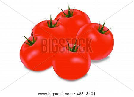 Rouge tomate de table